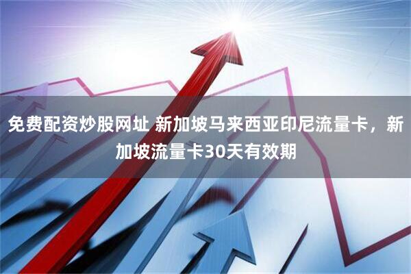 免费配资炒股网址 新加坡马来西亚印尼流量卡，新加坡流量卡30天有效期