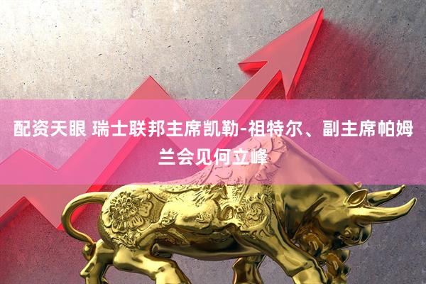配资天眼 瑞士联邦主席凯勒-祖特尔、副主席帕姆兰会见何立峰